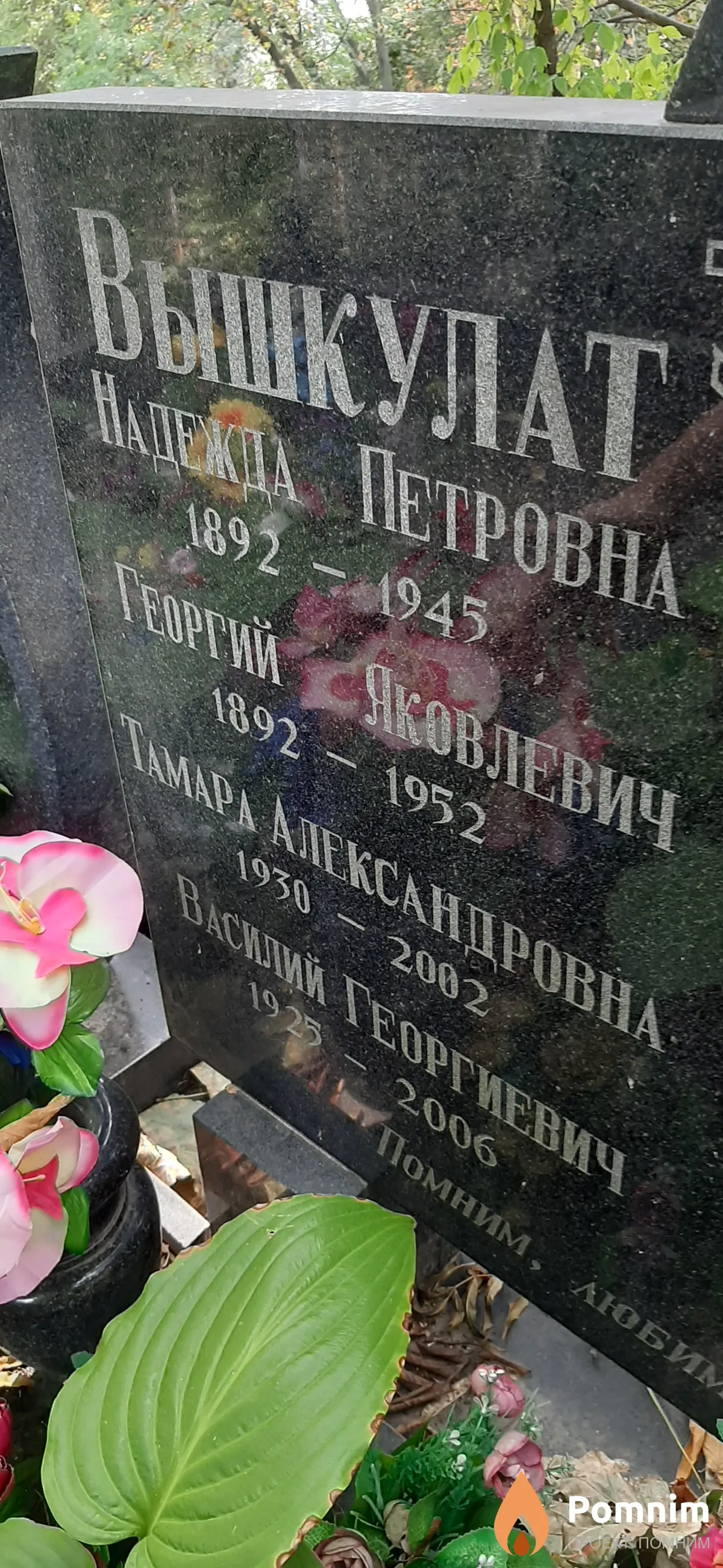 Вышкулат Василий Георгиевич