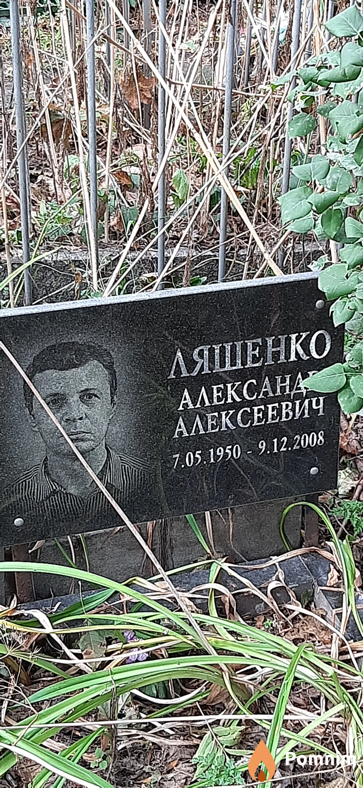 Ляшенко Александр Алексеевич