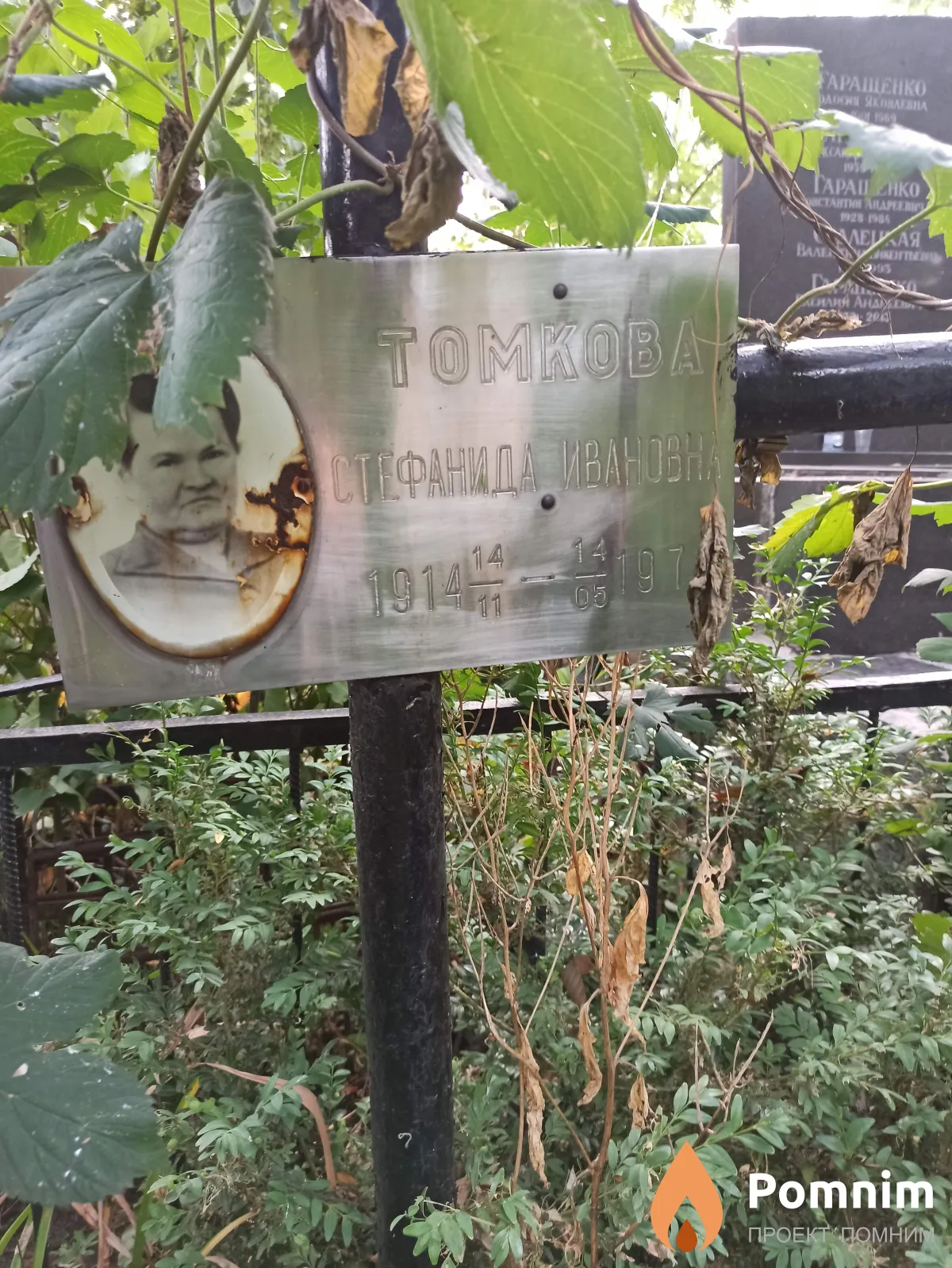 Томкова Стефанида Ивановна