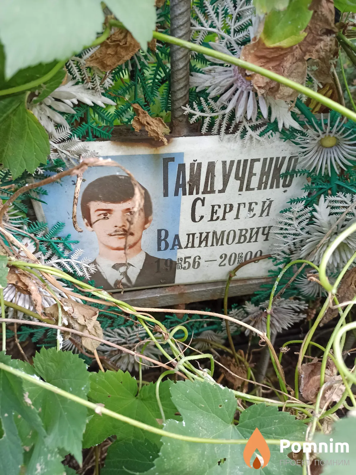 Гайдученко Сергей Вадимович