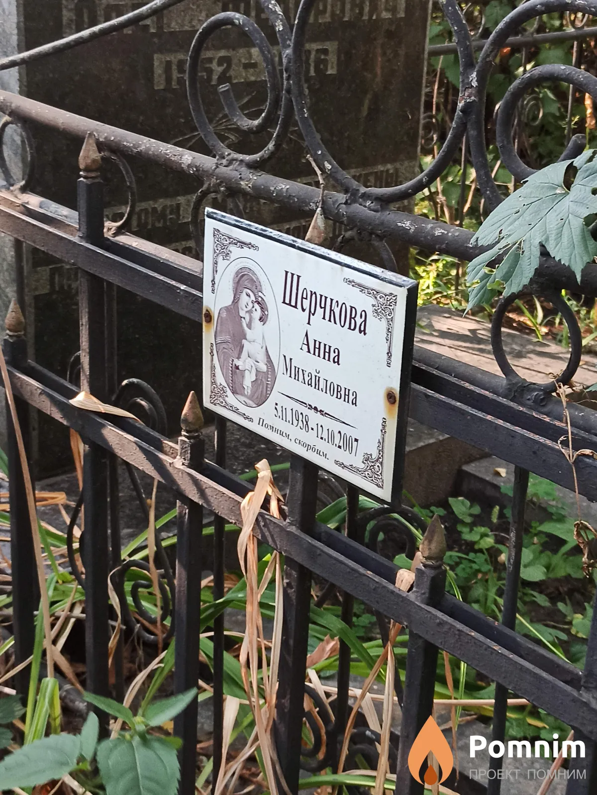 Шерчкова Анна Михайловна