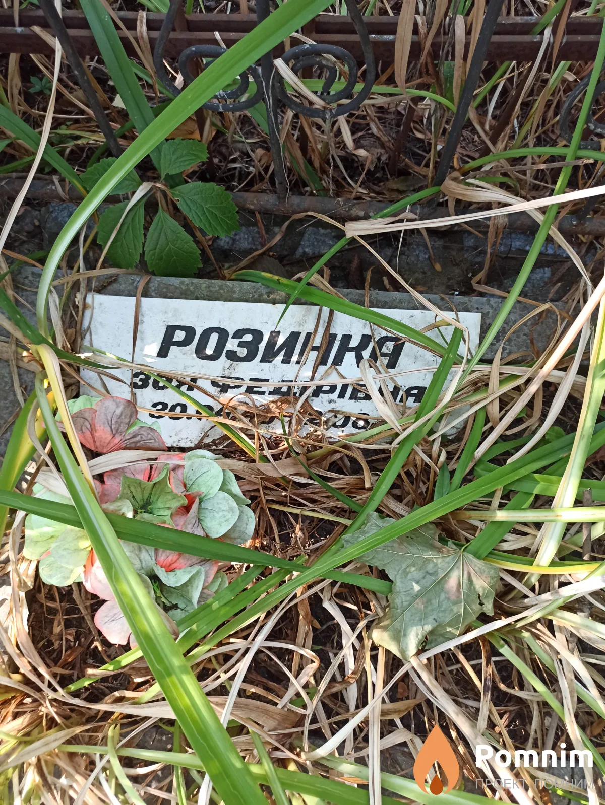 Розынка Зоя Федоровна