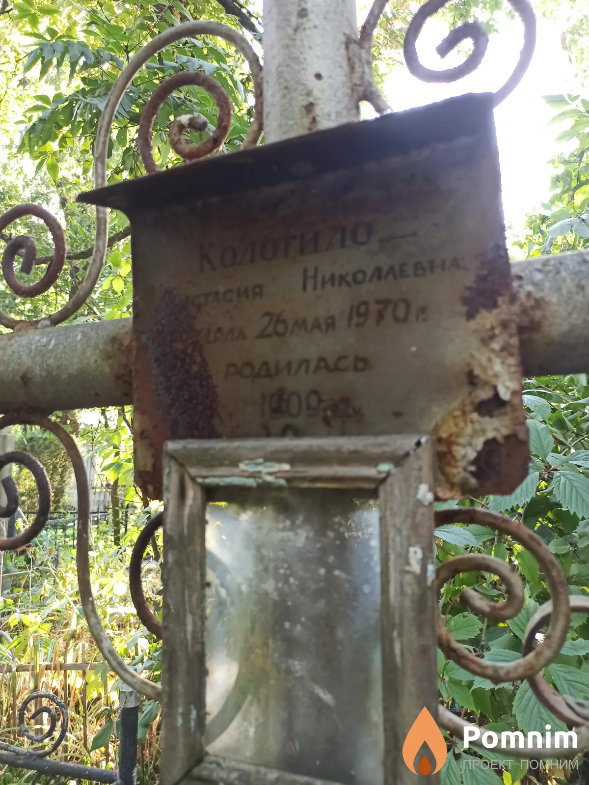 Колотило Анастасия Николаевна