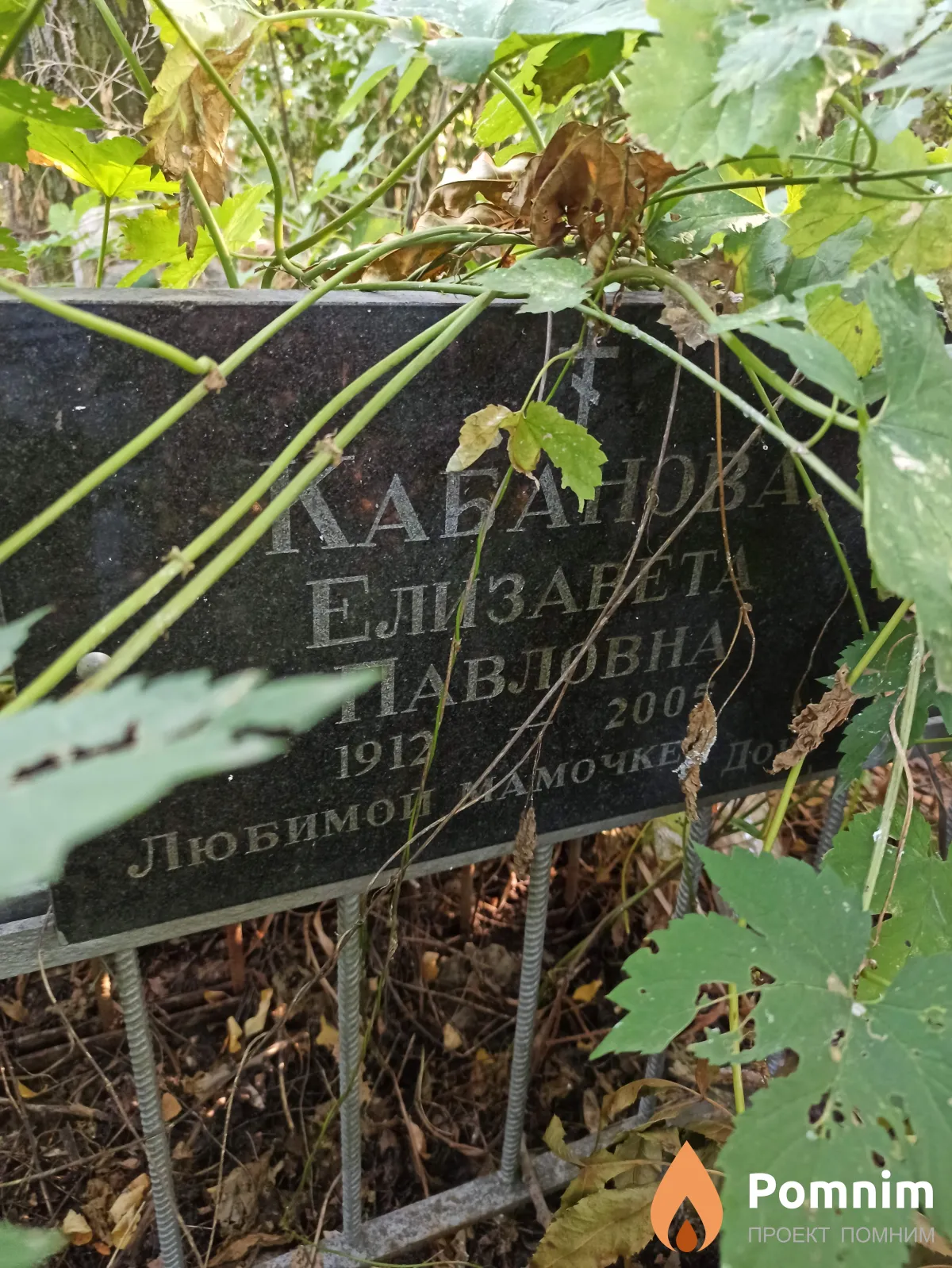 Кабанова Елизавета Павловна