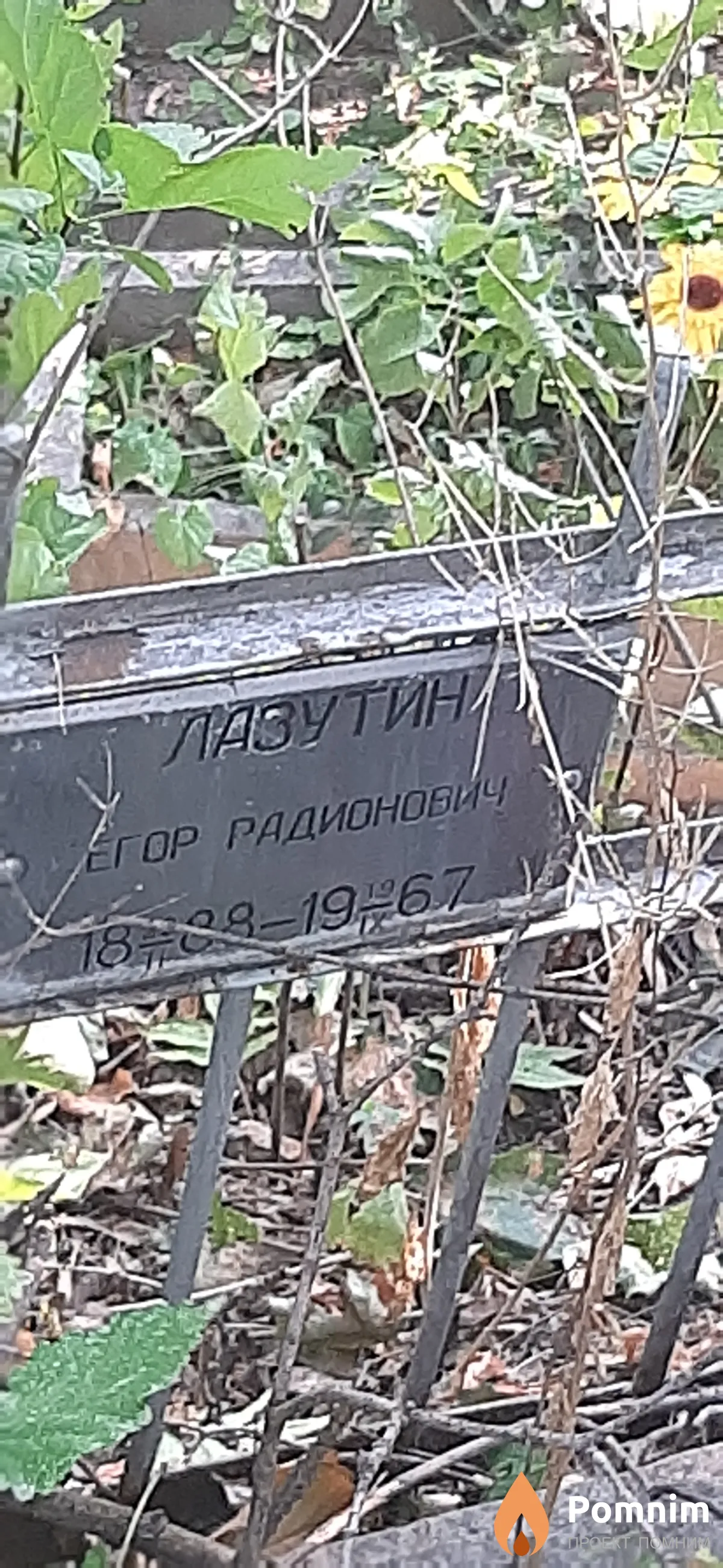 Лазутин Егор Радионович