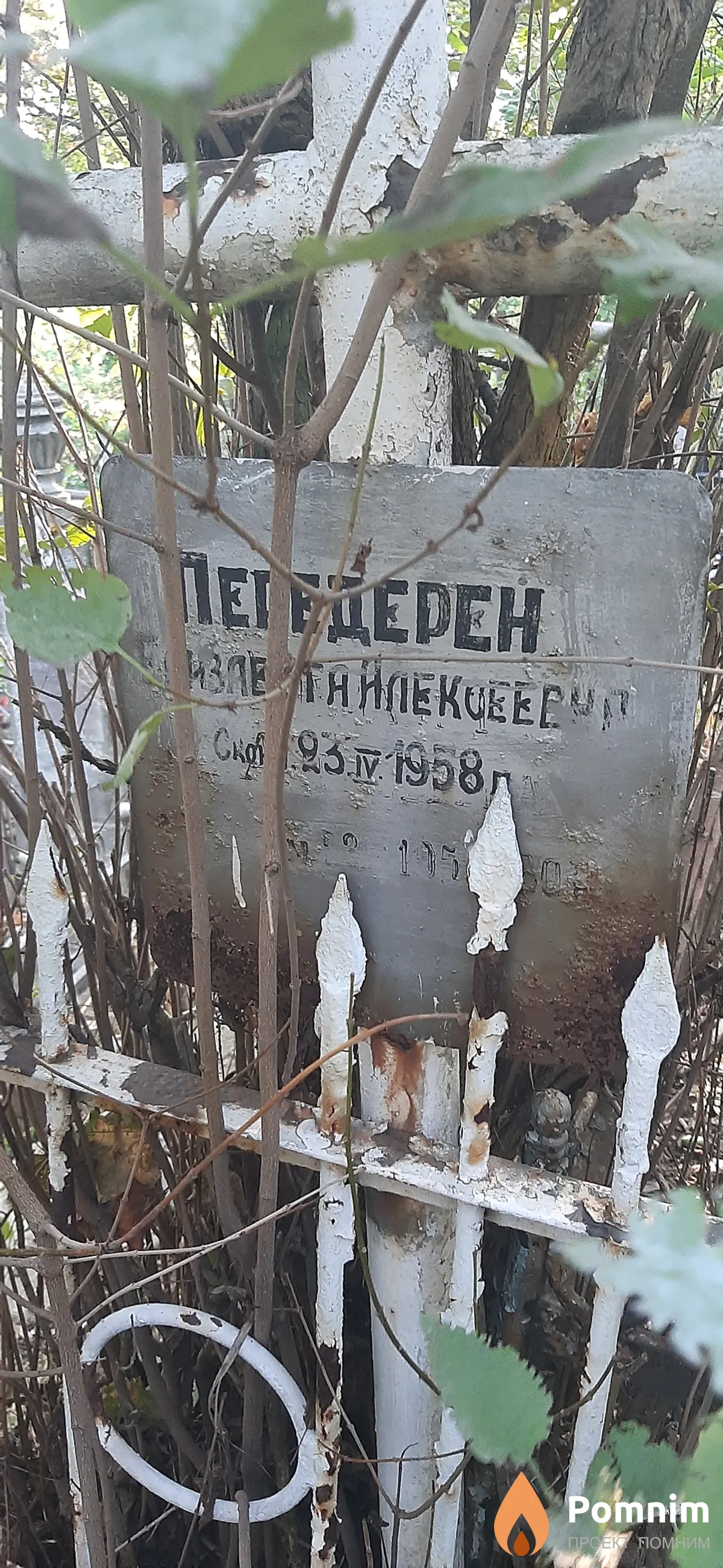 Передерен Елизавета Алексеевна
