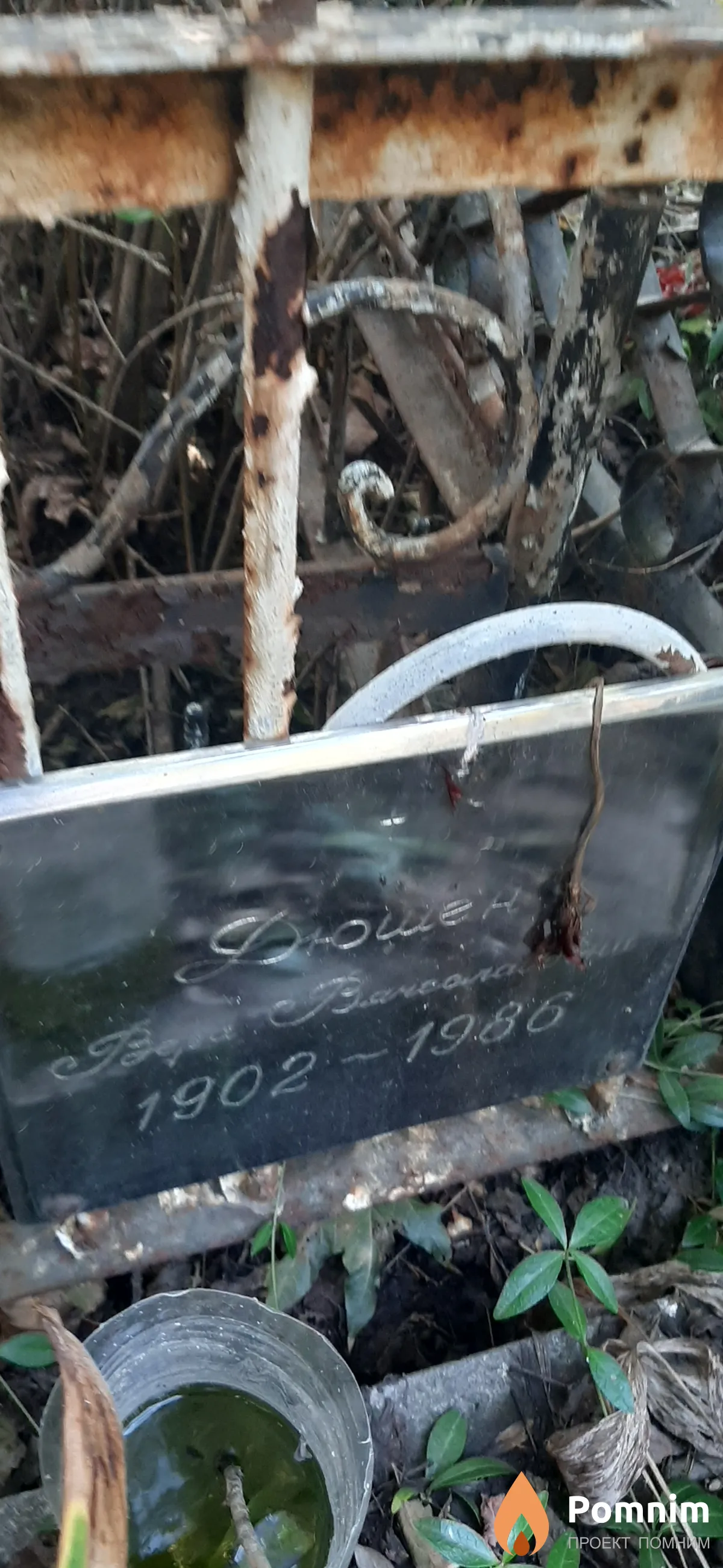 Дющен Вера Вячеславовна