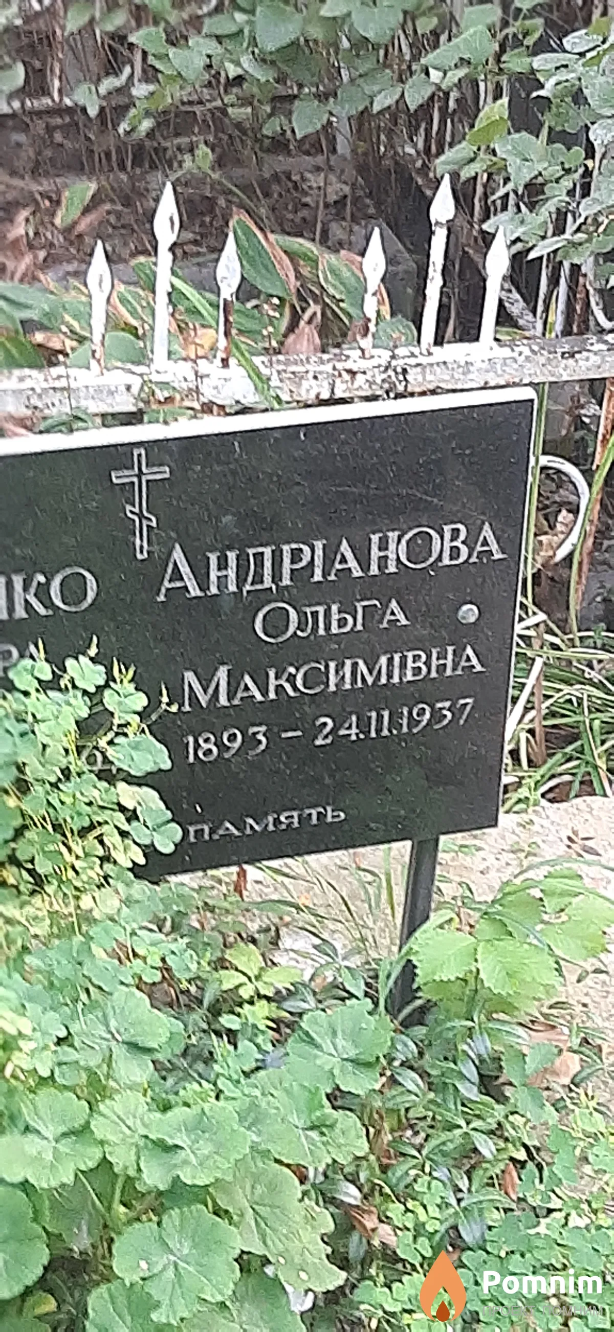 Андрианова Ольга Максимовна