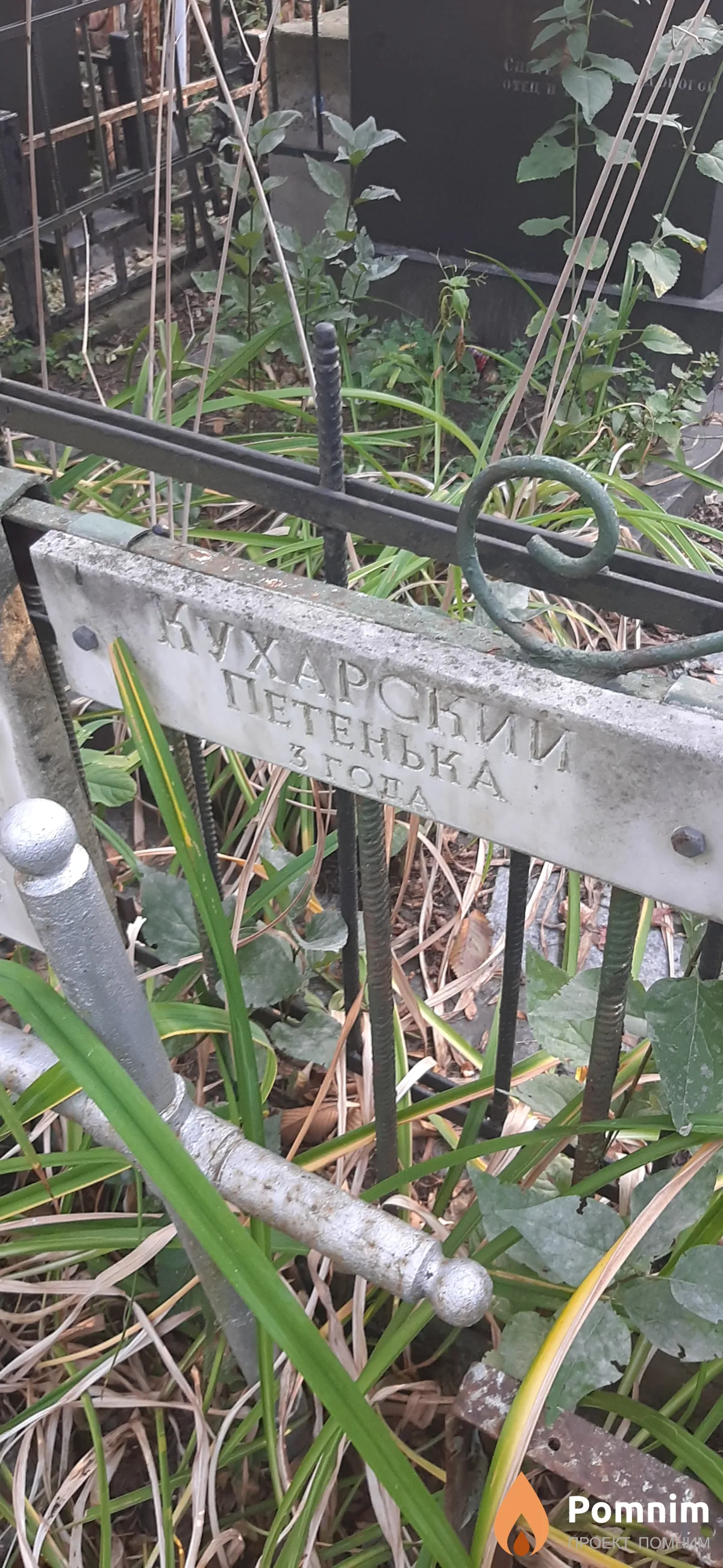 Кухарский Петенька