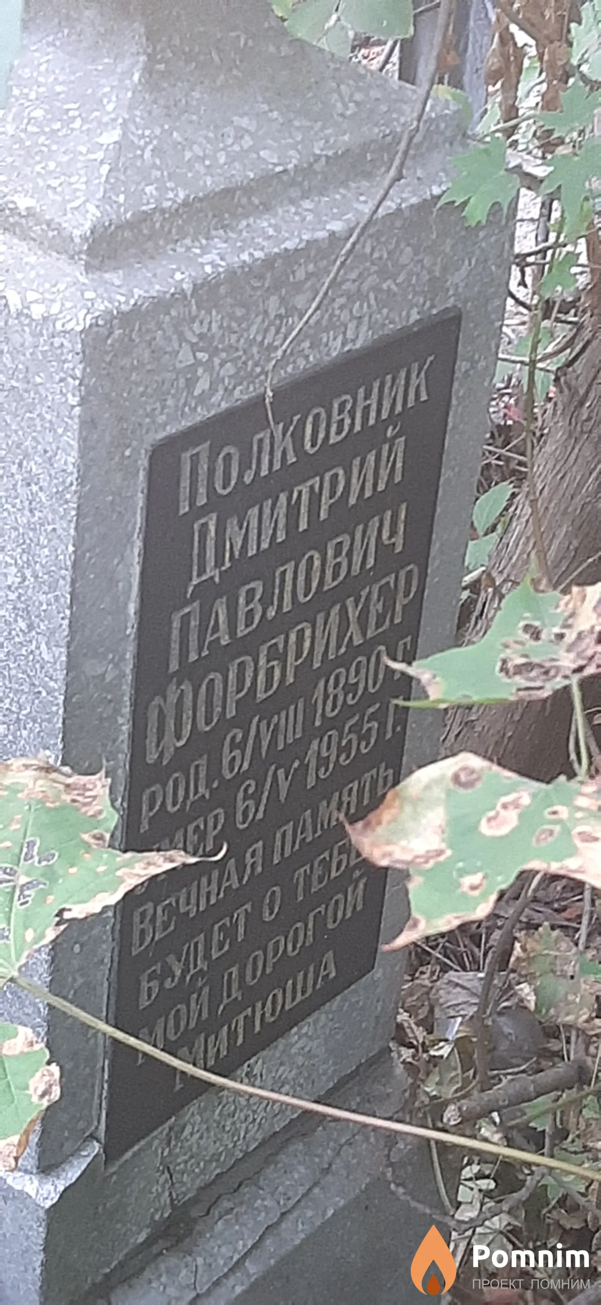 Фобрихер Дмитрий Павлович