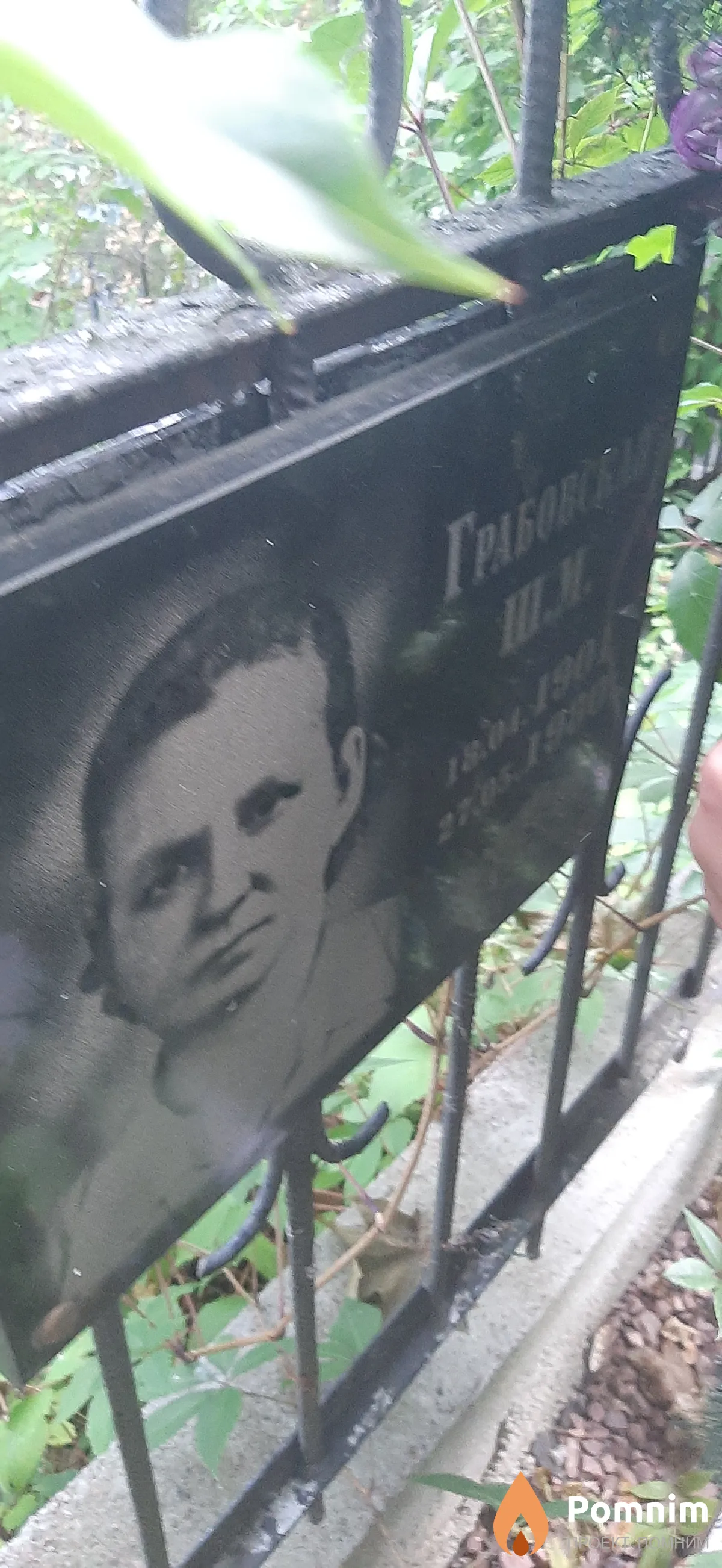 Грабовская Ш. М.