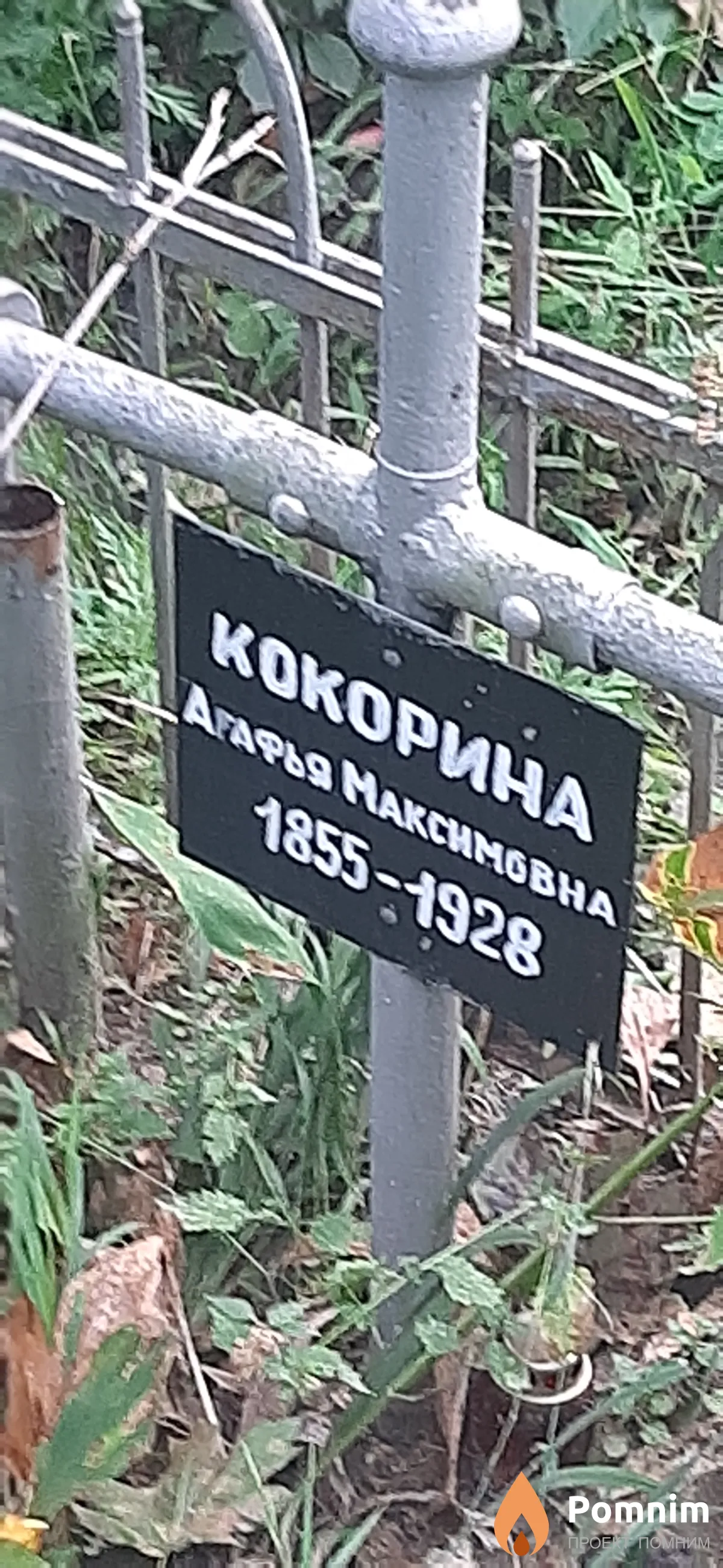 Кокорина Агафья Максимовна