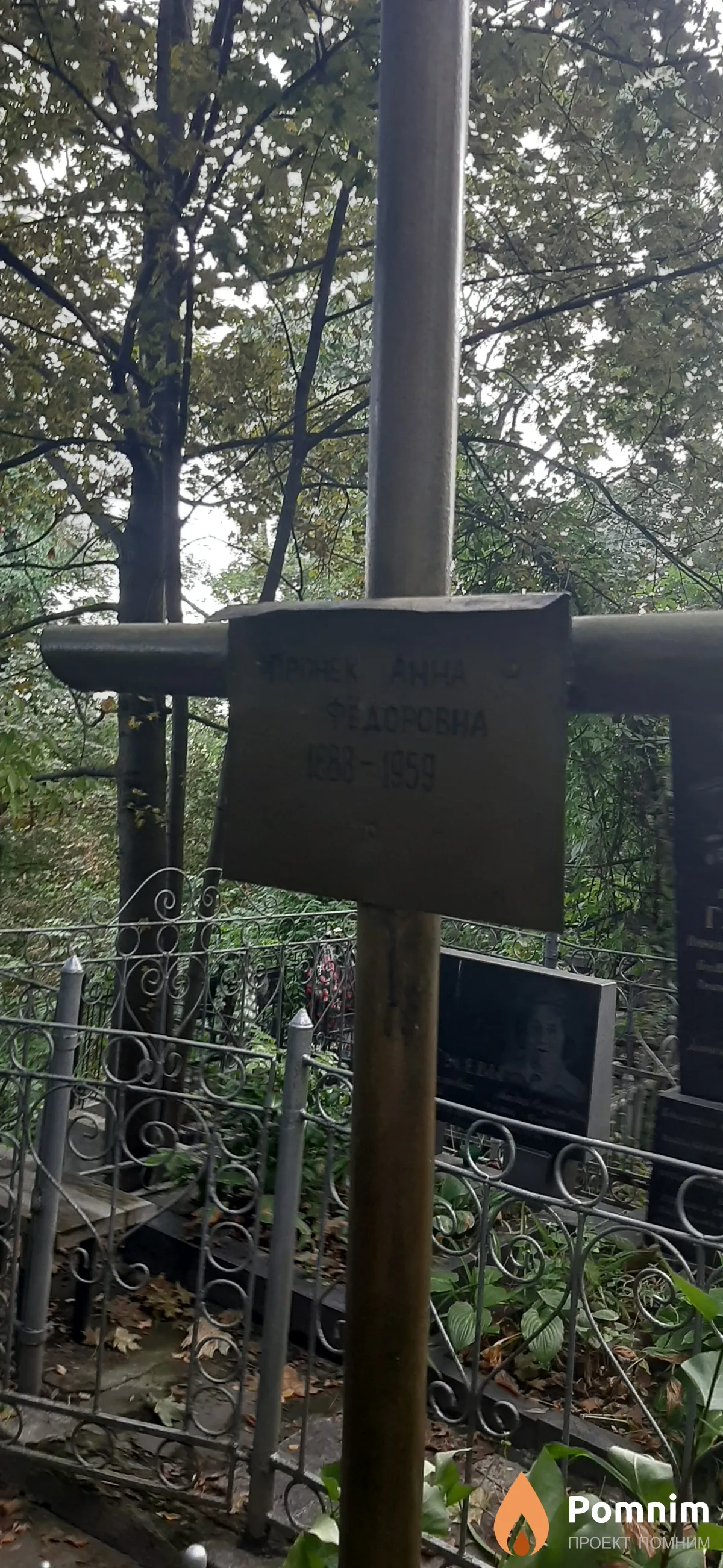 Пронек Анна Федоровна