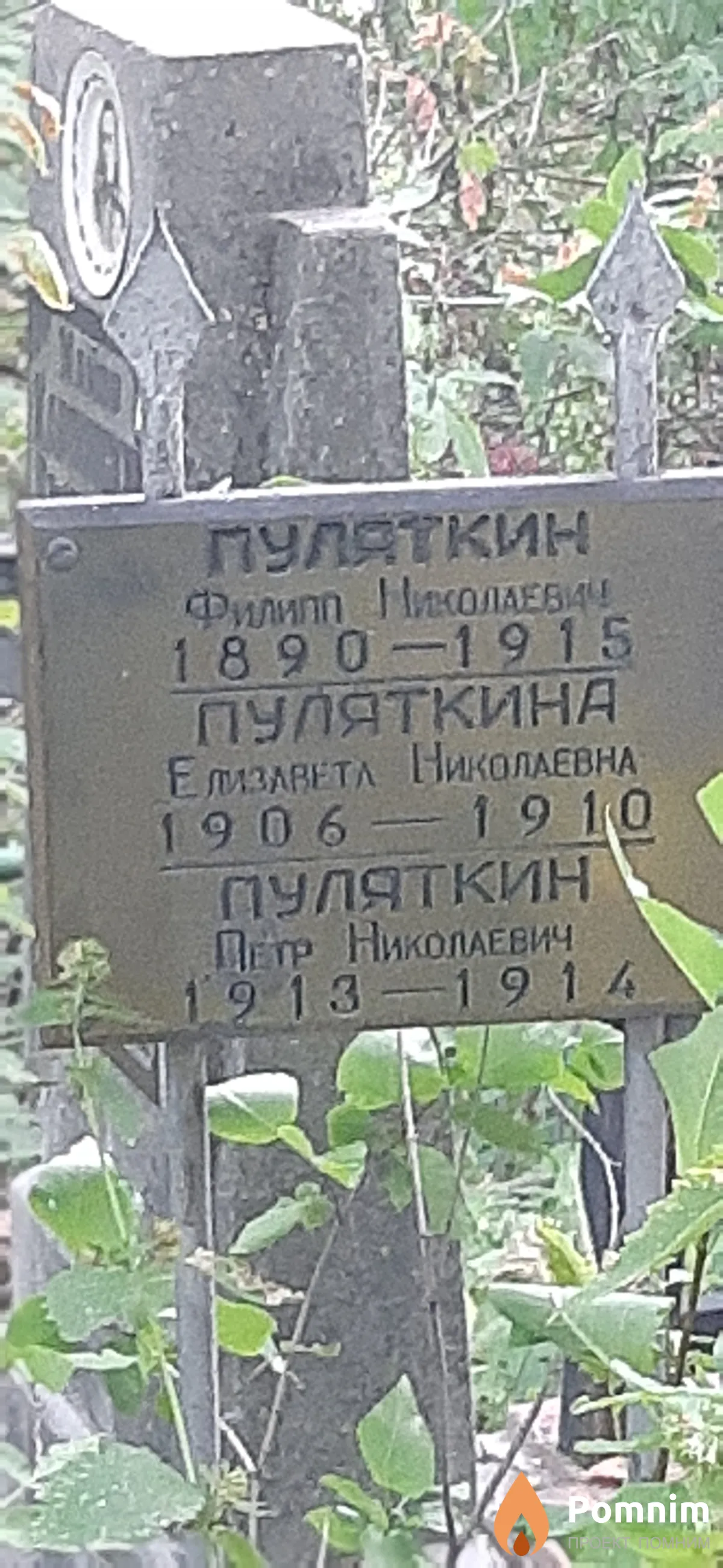 Пуляткина Елизавета Николаевна