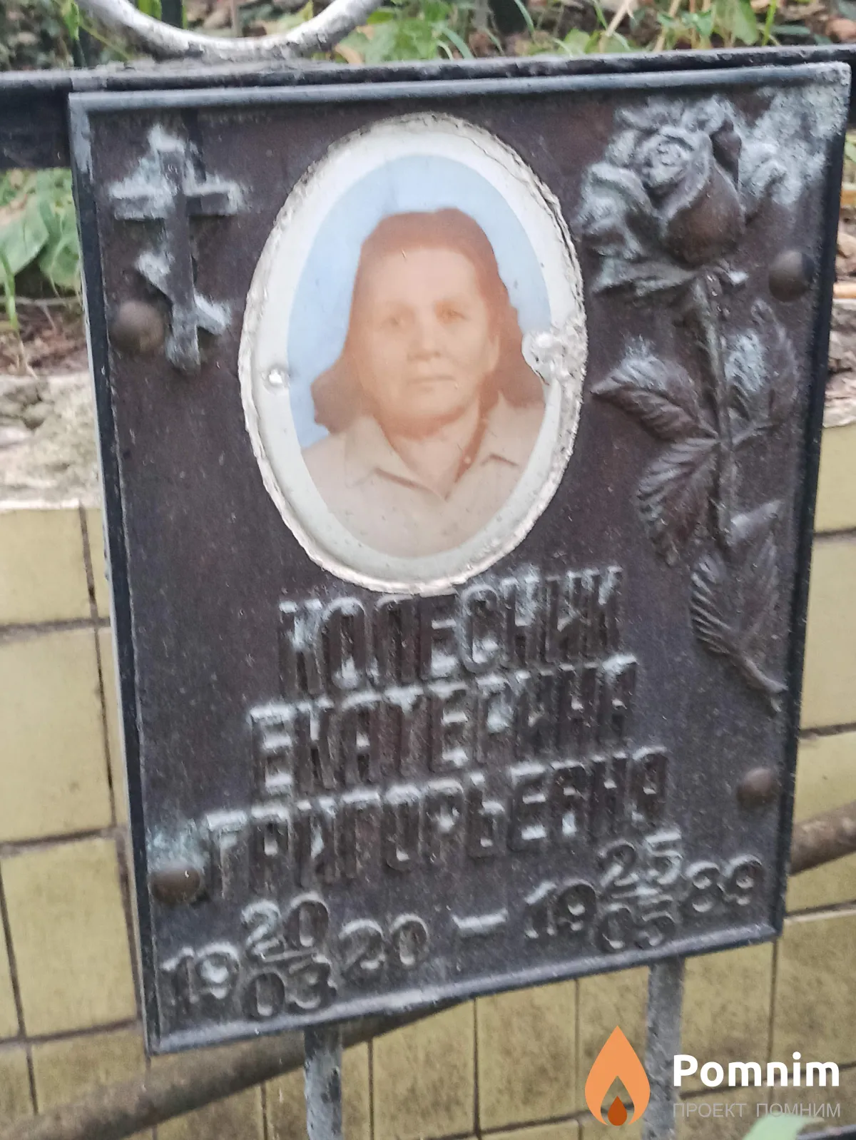 Колесник Екатерина Григорьевна