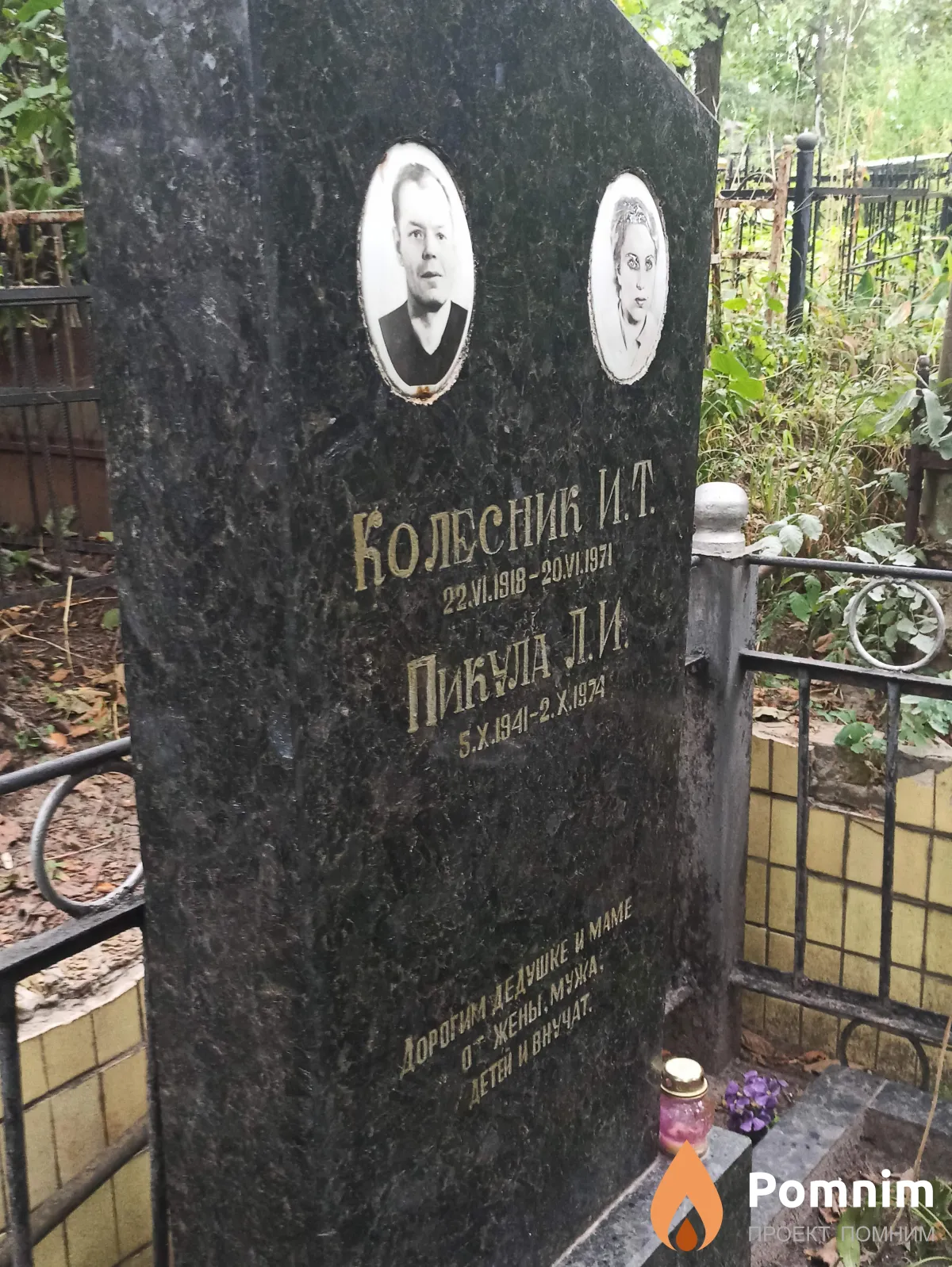 Пикула Л. И.