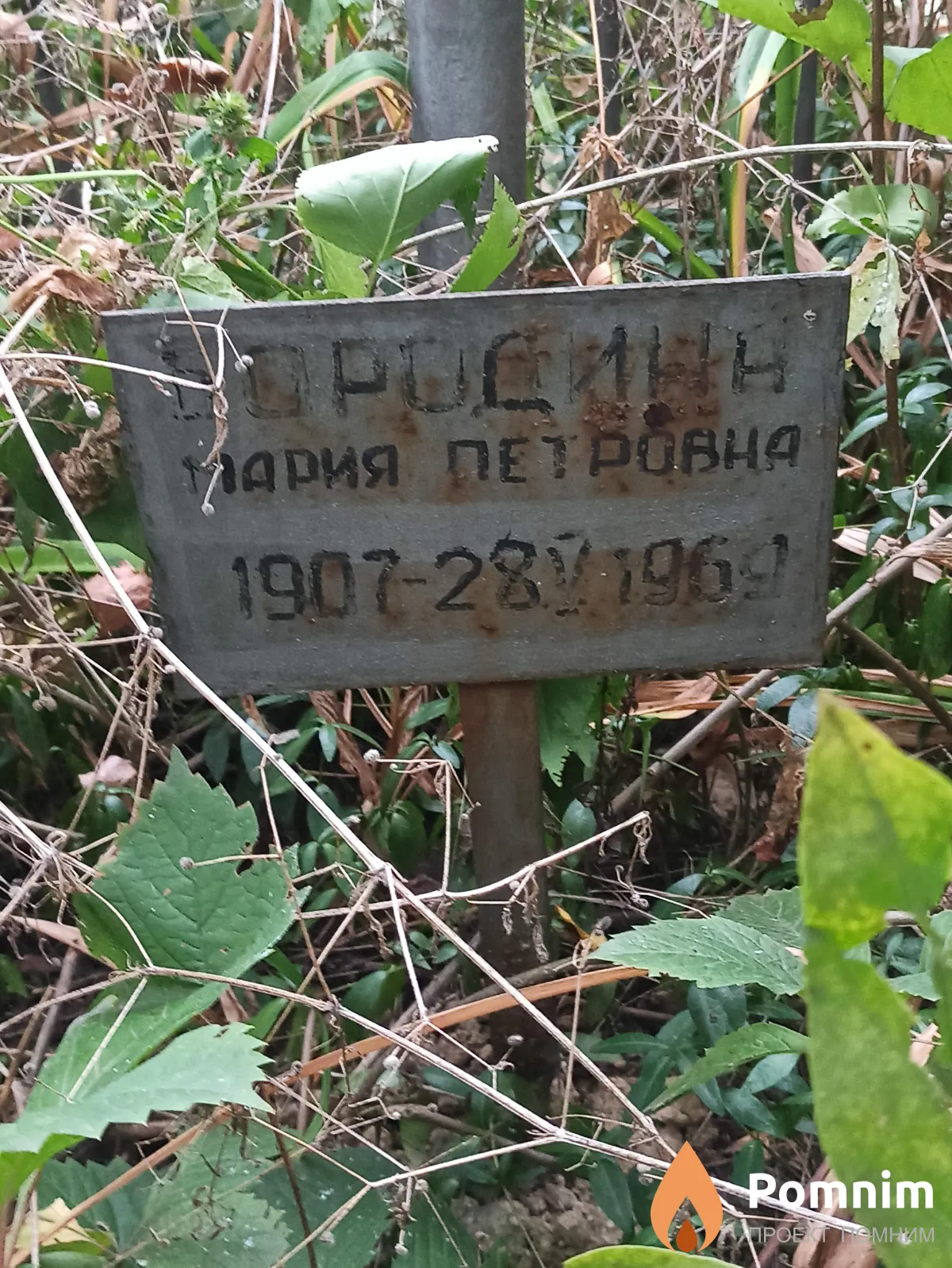 Бородина Мария Петровна