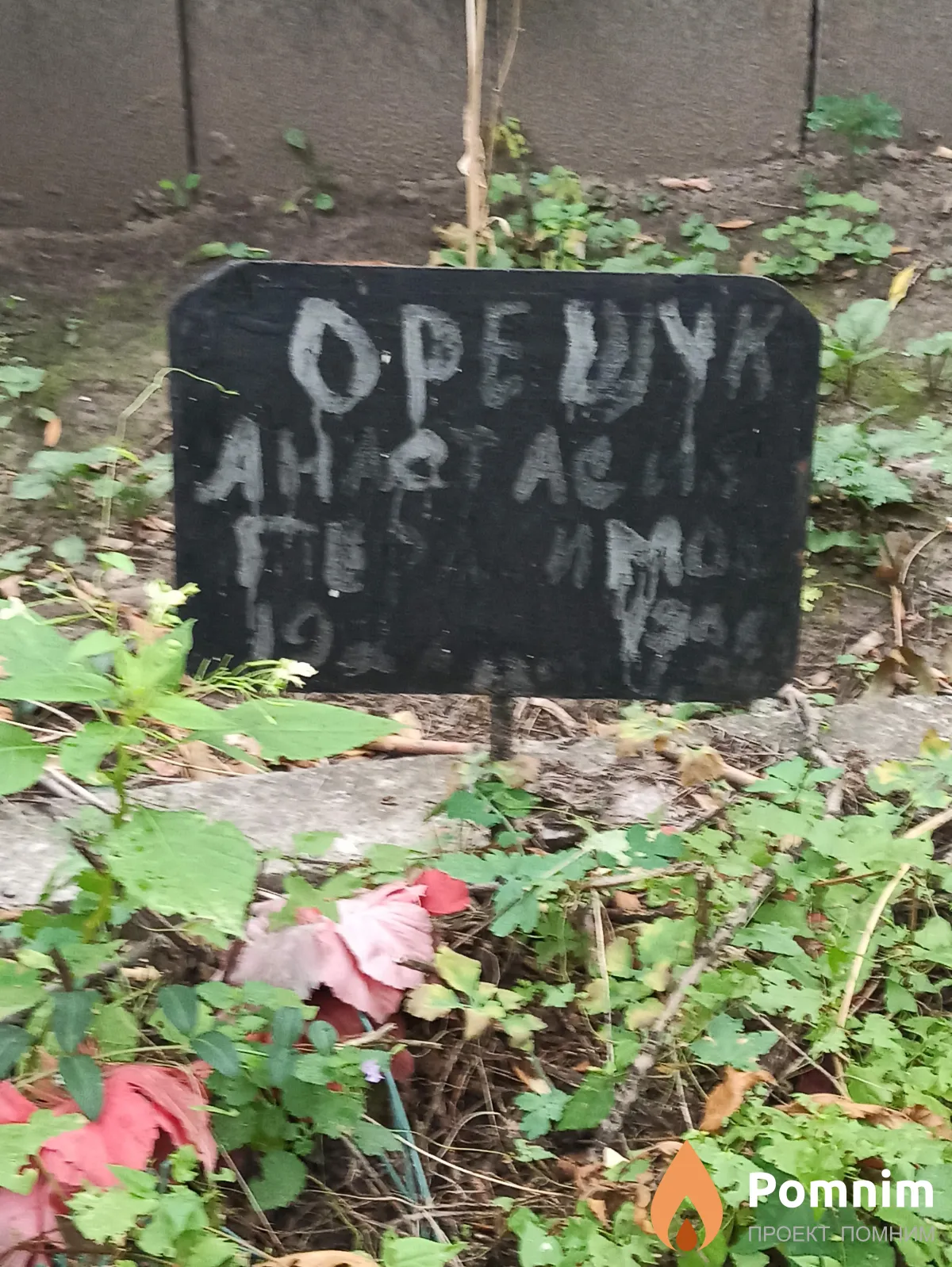 Орешук Анастасия