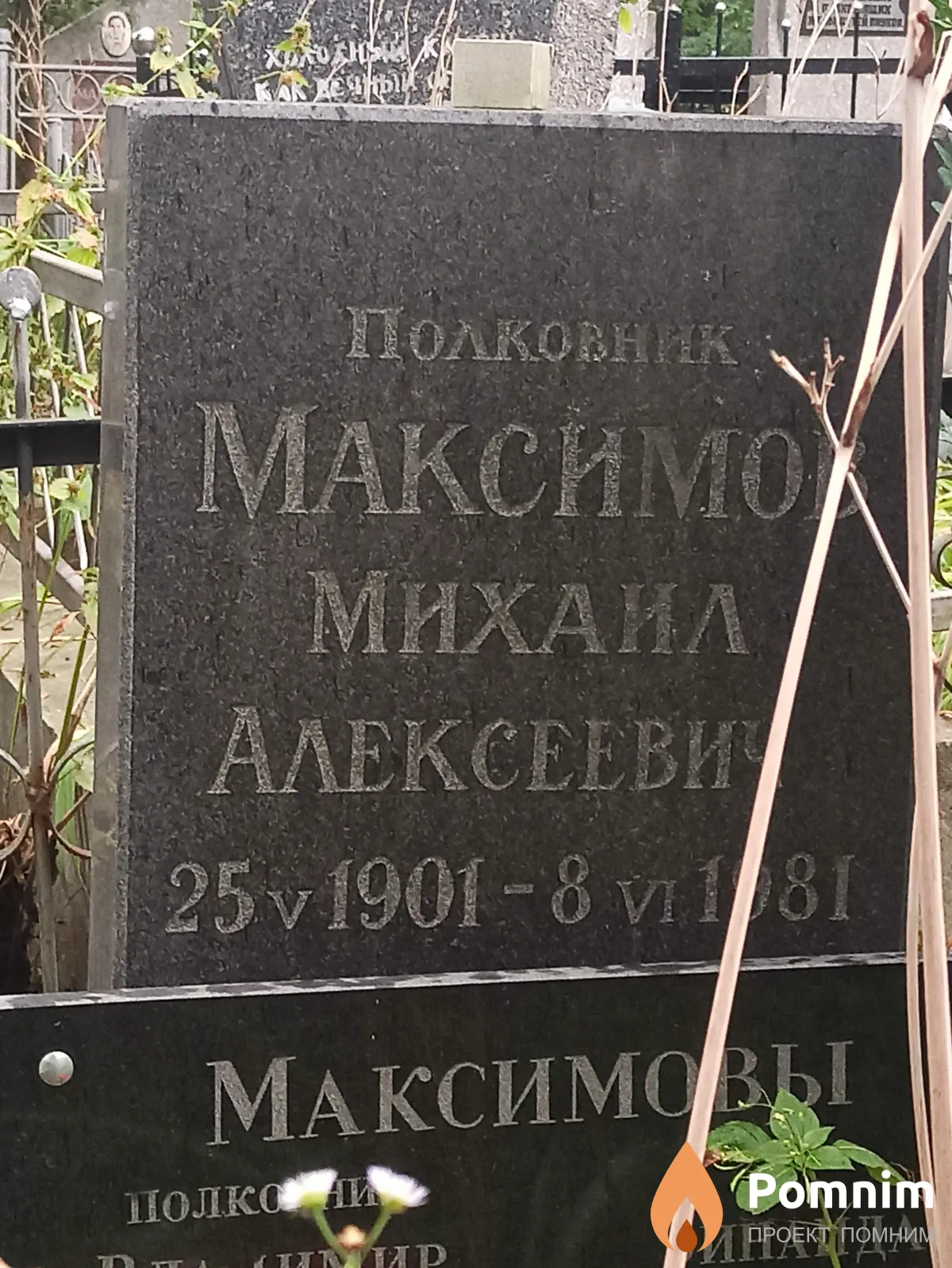 Максимов Михаил Алексеевич