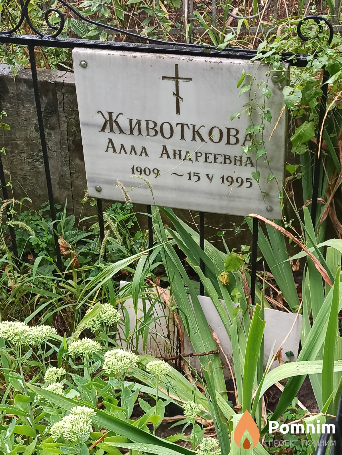 Животкова Алла Андреевна