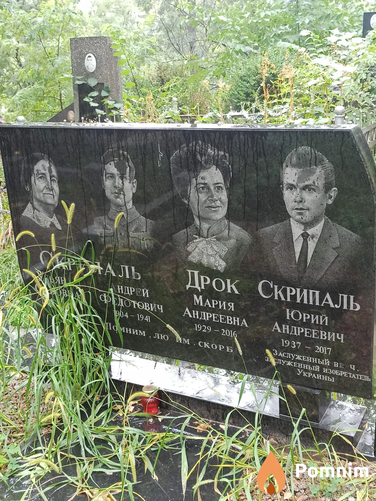 Дрок Мария Андреевна