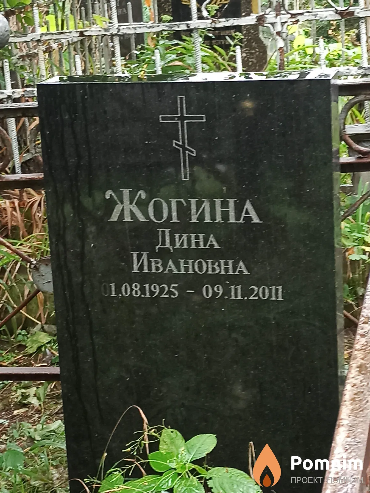 Жогина Дина Ивановна