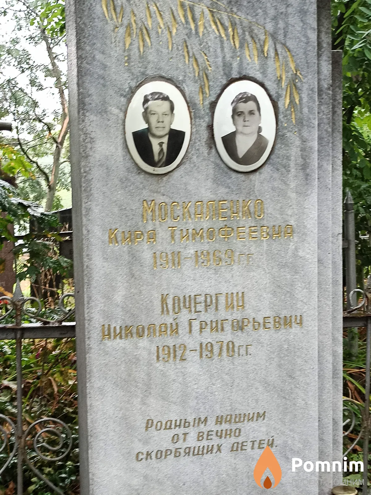 Кочергин Николай Григорьевич