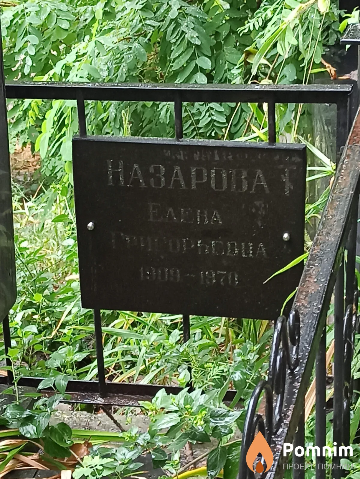 Назарова Елена Григорьевна