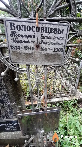 Тест Дорфирий Скатерина