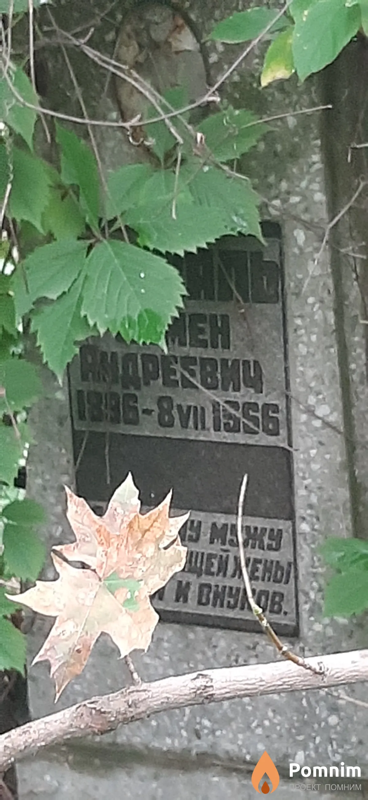 Древаль Семен Андреевич