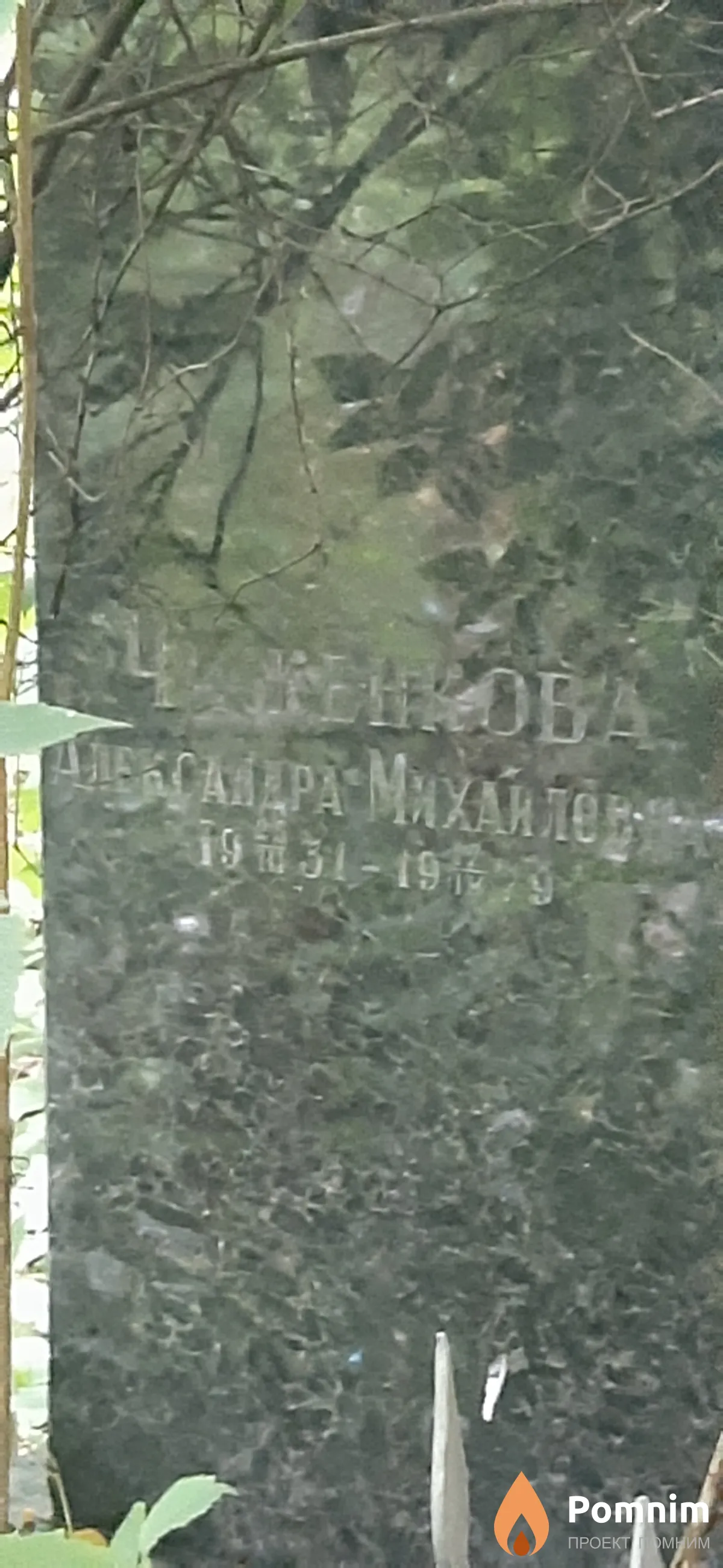 Чиженкова Александра Михайловна