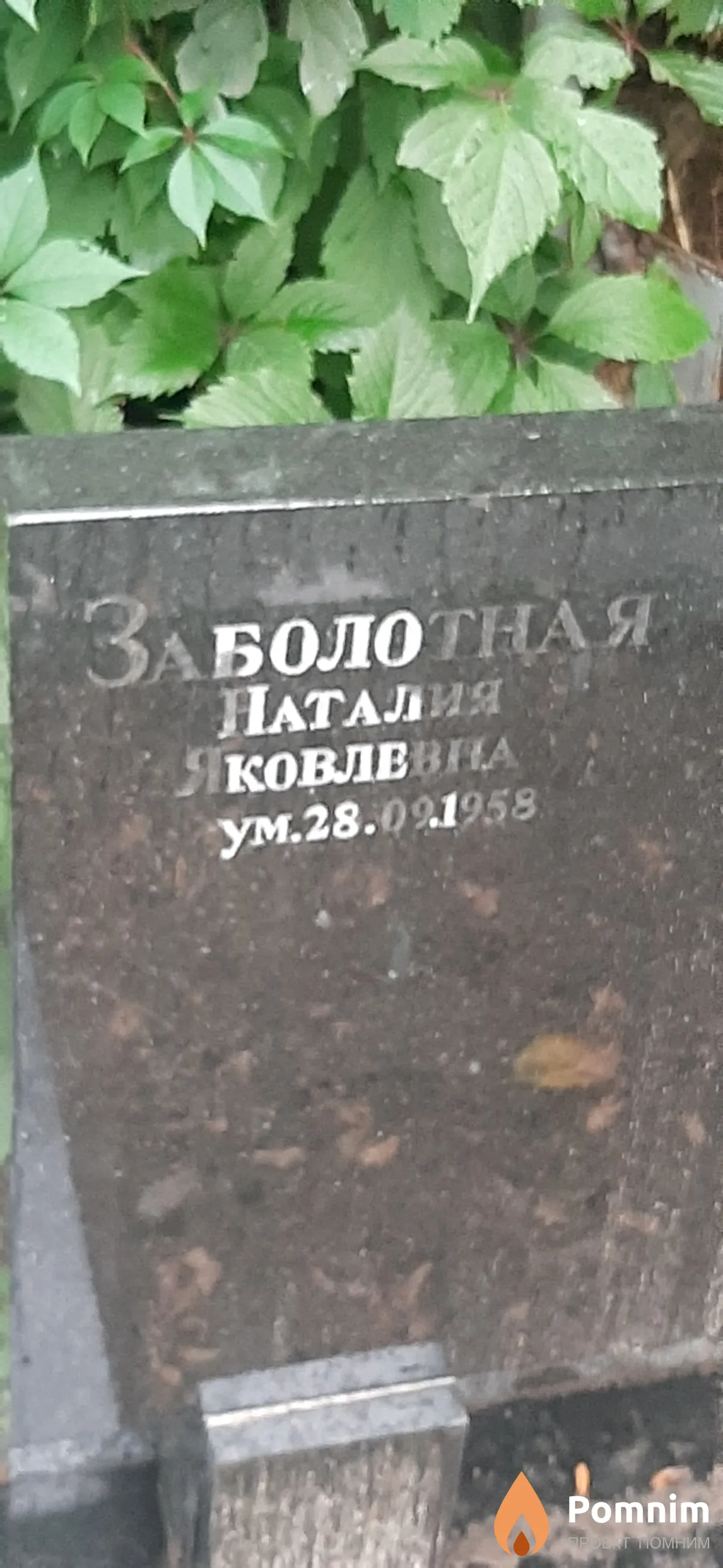 Заболотная Наталия Яковлевна