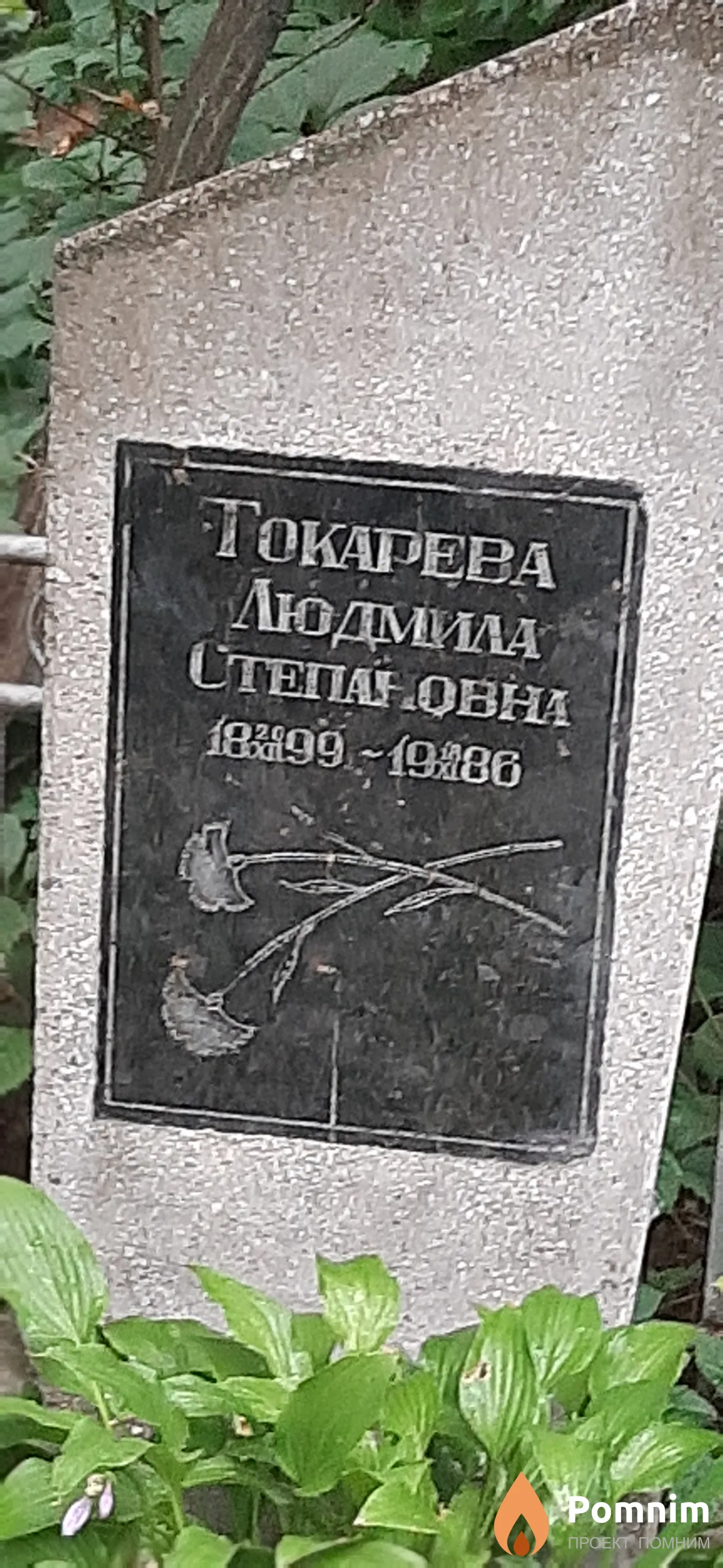 Токарева Людмила Степановна