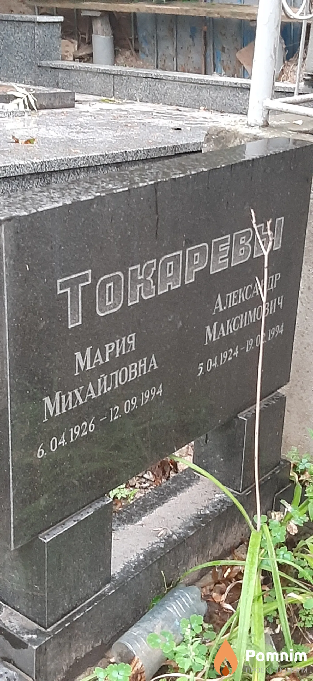 Токарев Александр Максимович