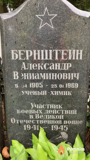 Бернштейн Александр Вениаминович