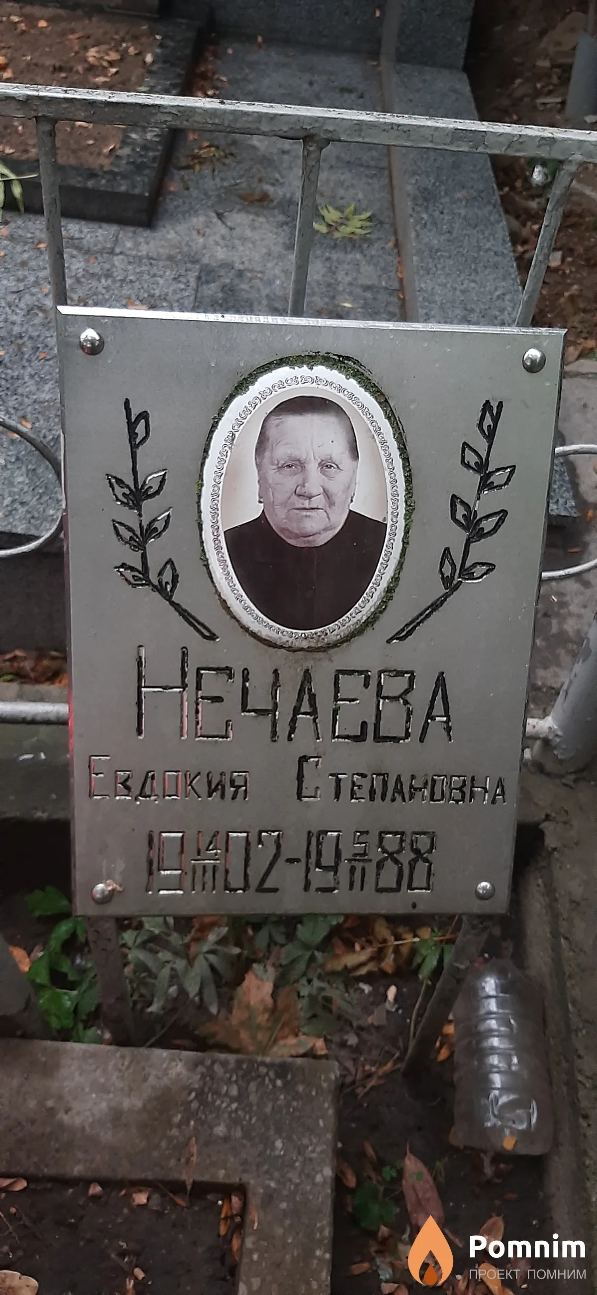 Heчаева Евдокия Степановна