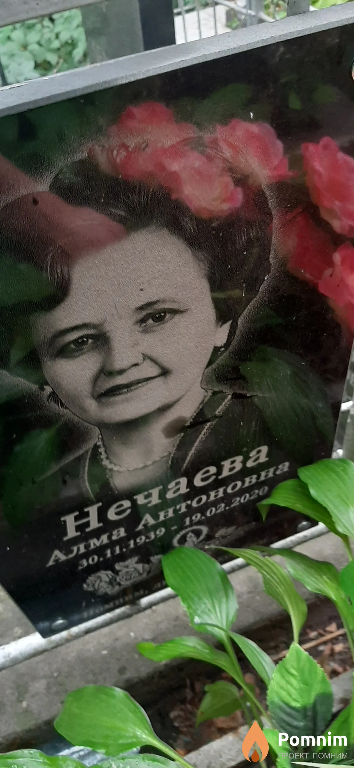 Нечаева Алма Антоновна
