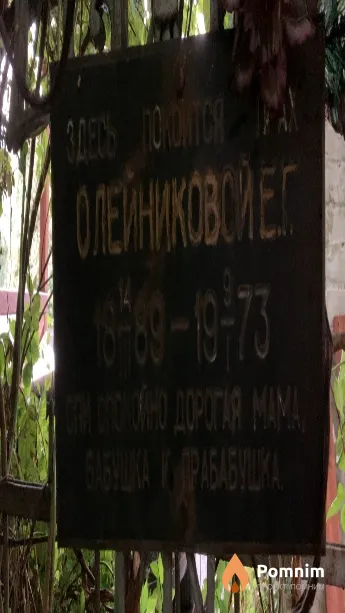 Олейникова Е.Г.