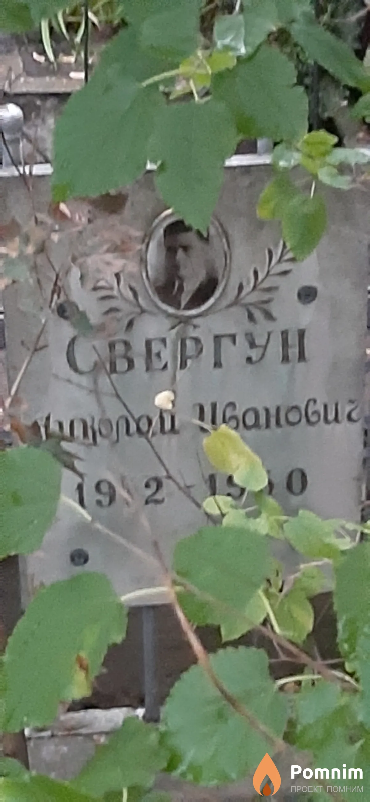 Свергун Николай Иванович