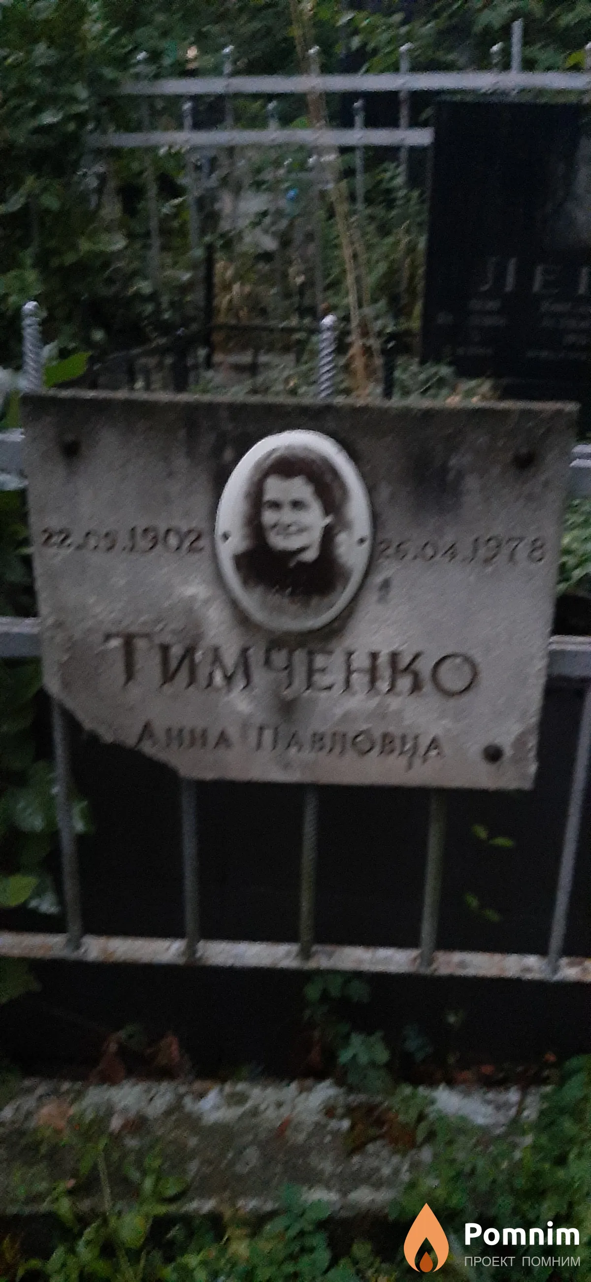 Тимченко Анна Павловна