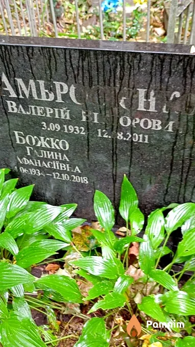 Амбросиенко Валерий Викторович