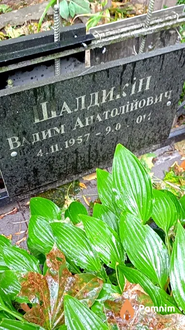 Шалдикин Вадим Анатолиевич