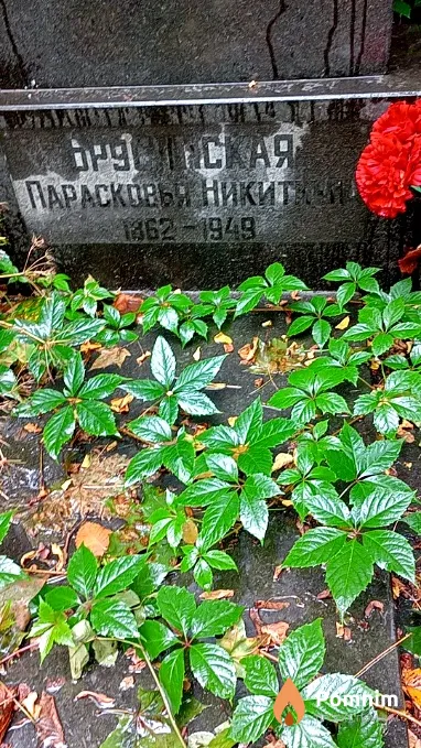 Брусанская Прасковья Никитична