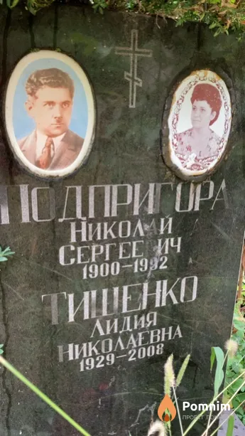 Подпригора Николай Сергеевич