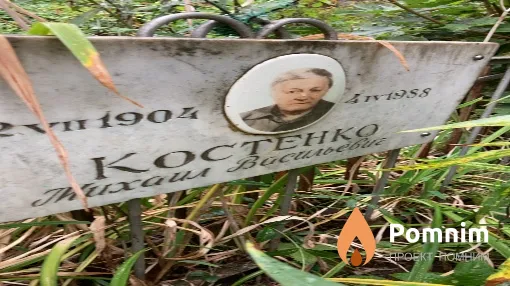 Костенко Михаил Васильевич
