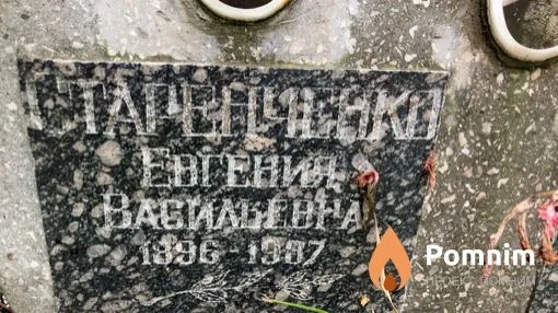 Старенченко Евгения Васильевна