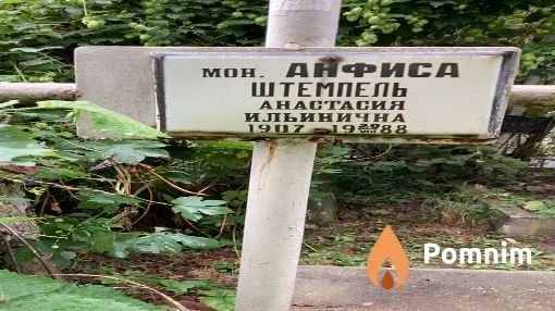 Штемпель Анастасия Ильинична