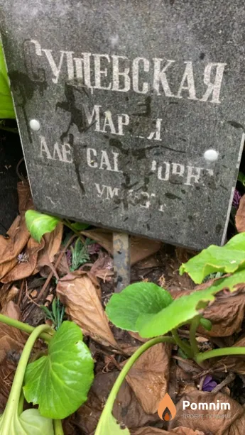 Сущевская Мария Александровна