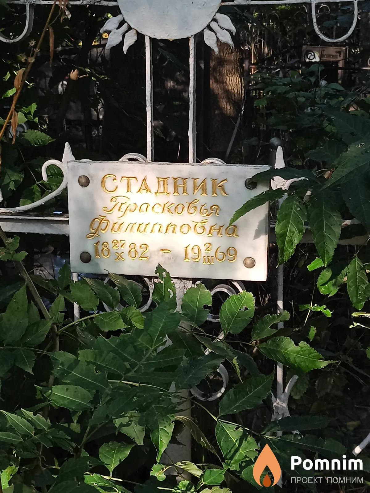 Стадник Прасковья Филиповна