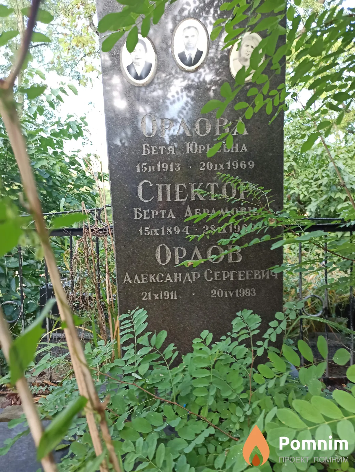 Орлова Бетя Юрьевна
